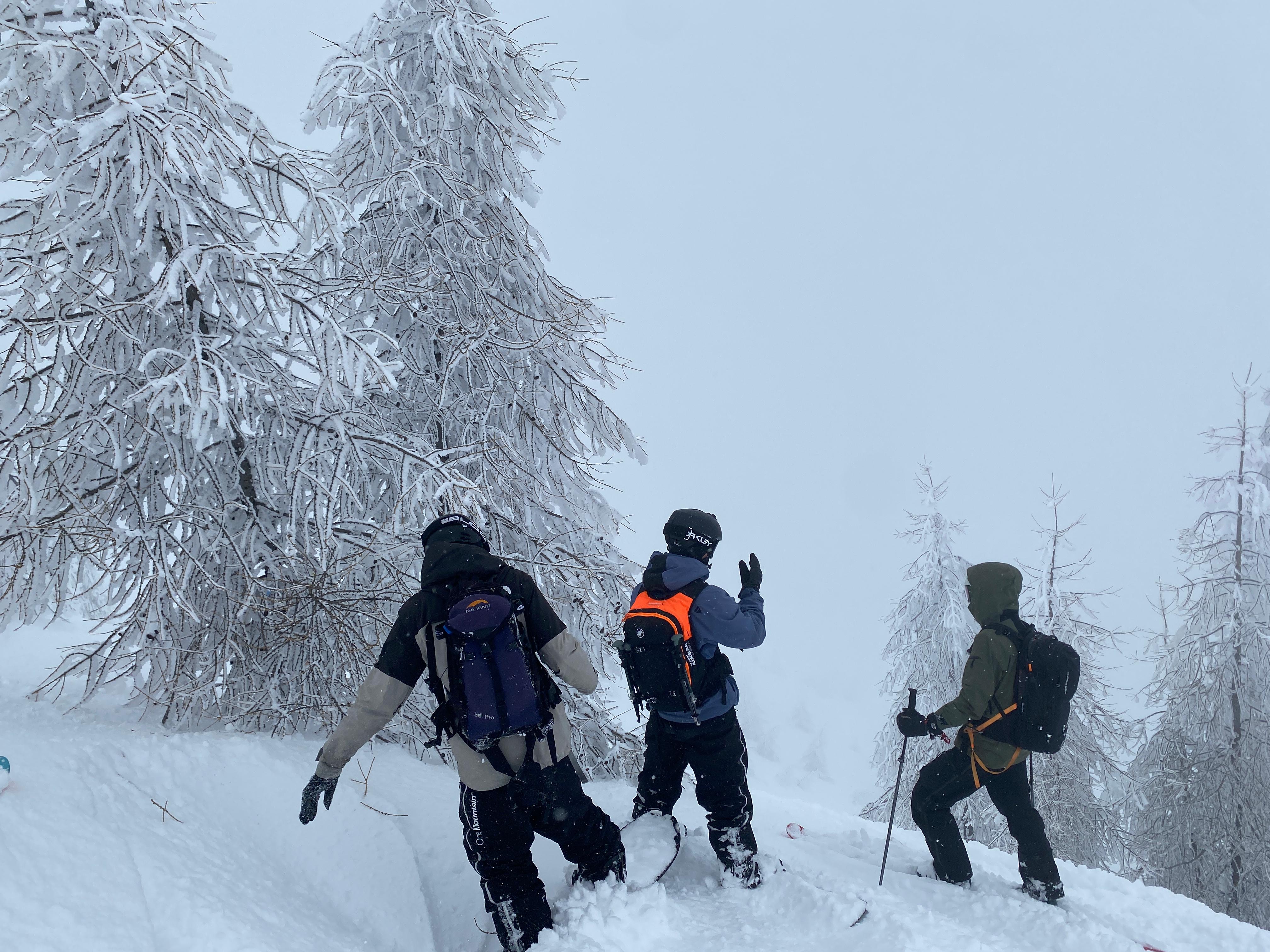Skier on Alpine slopes
